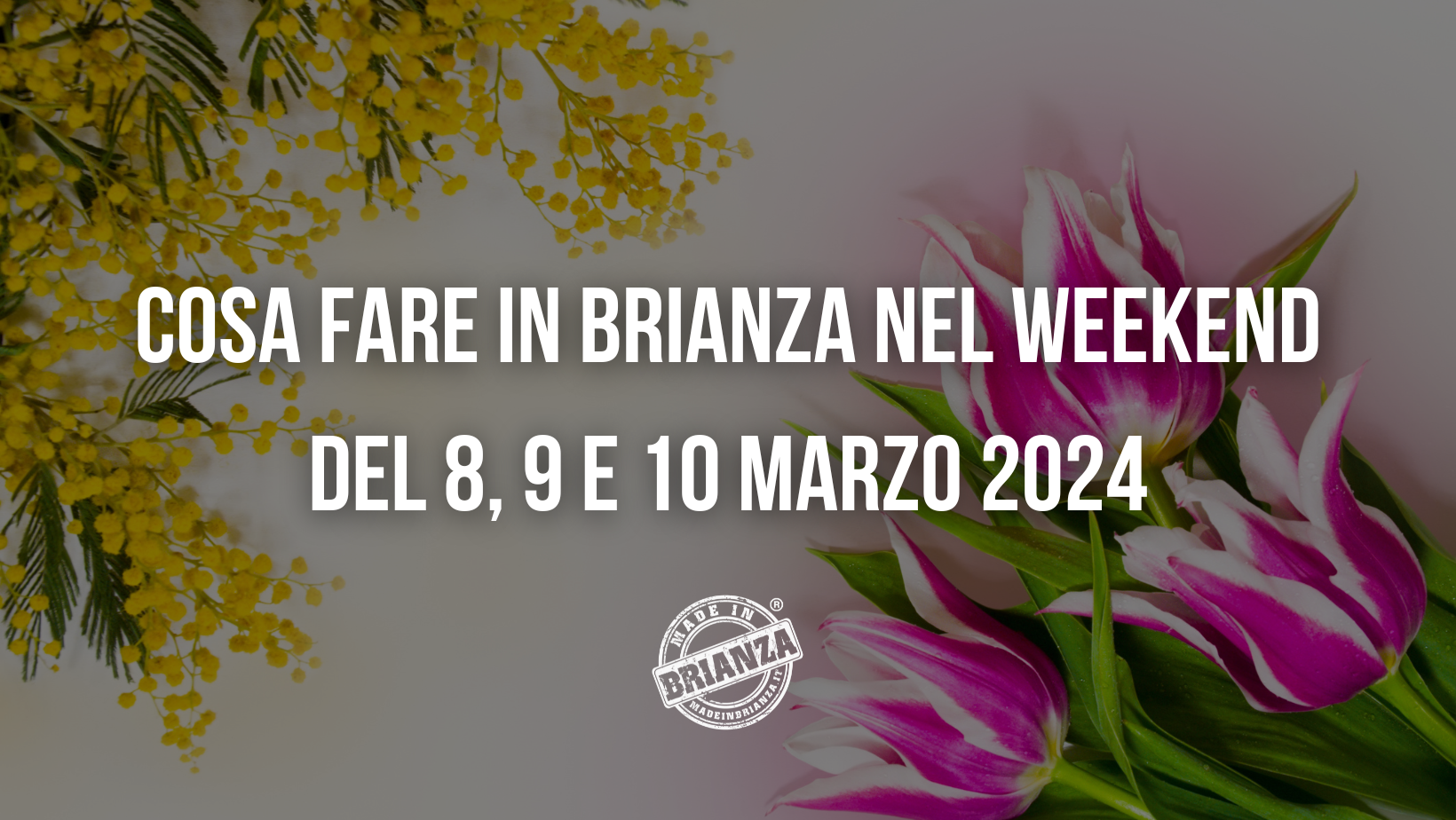 Cosa Fare In Brianza Nel Weekend Del 8 9 10 Marzo 2024 Made In Brianza